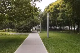 天津市经济技术开发区地处滨海新区的核心，这里被绿色植物所环抱视频封面