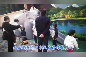太原迎泽公园大象滑梯，微缩版搬到北肖墙路边，供免费玩耍真热闹视频封面