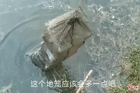 疫情期间在家装地笼，看看有哪些收获视频封面