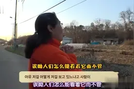 狗狗的爱情故事：下雪天受伤的狗狗睡狗窝，伴侣睡在外面颤颤发抖视频封面