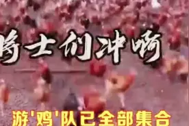 全军出鸡的视频终于让我找到了这场面不怕国外蝗虫过来就怕它不来视频封面