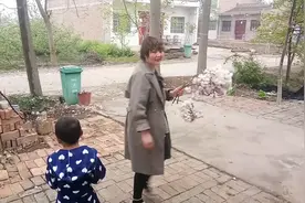 春日养生之：桐树花泡脚祛湿气、杀菌除脚气。效果不错。