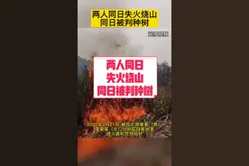 两人同日失火烧山，同日被判种树#七夕我想对你说 @北三环政能量 视频封面