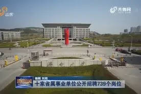 全是好单位！山东10家省属事业单位公开招聘，共计739个岗位视频封面