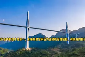 谁才是机械行业龙头，未来发展空间巨大业绩稳定估值较低。视频封面