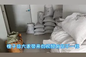 中药材：黄芪，当归，独活，乌贼骨，带您从不同的位置了解中药材