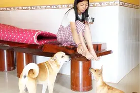表姐在家陪狗狗玩耍，还顺带按摩，好有爱的一幕视频封面