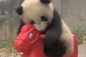 00后大学生四川话PK普通话，说出不一样的感觉!