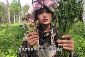 粉丝说微菜就是蕨菜，大家一定要分清楚，两总山野菜有什么不同？