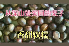 从离家三百多里路的大山深处买回的栗子，按此方法煮，香甜软糯！