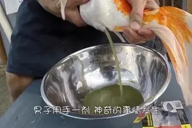 男子见锦鲤肚子鼓胀，用手一剂，神奇的事情发生了！视频封面