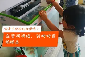 喜欢的定义是什么呢？不懂得的孩子都是这样的表达方法！