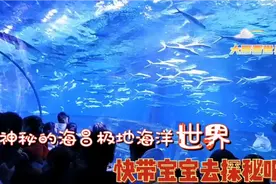 带宝宝探秘武汉海昌极地海洋世界，孩子们眼里的极地海洋太可爱了视频封面