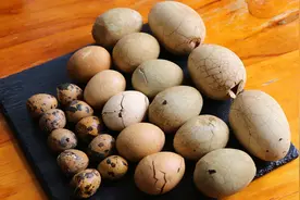 早餐不要只吃鸡蛋了，试试这些蛋，好吃又有营养，吃一个就饱了