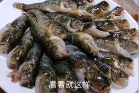 超级肥的大老头鱼！用这种烹饪方法做太香了！隔墙都能闻到味儿！视频封面