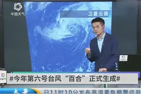 台风又来了！今年第6号台风“百合”正式生成，又是“伪台风”？