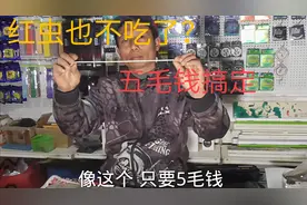 冬钓有时红虫也不吃了？黑哥说5毛钱能搞定！你肯定没想到视频封面