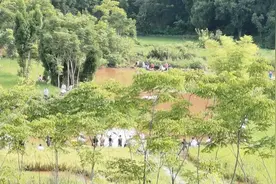 乐山大雨过后，鲤鱼成群出逃，河边上全是钓鱼人，半天能钓几十斤视频封面