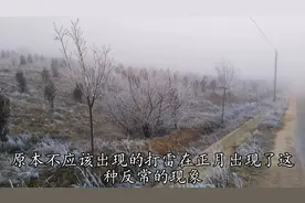 俗语“正月打雷人堆堆，二月打雷麦堆堆”，正月打雷有何预兆？