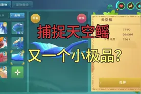 【创造与魔法】捕捉天空鳐，又一个小极品？