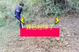 相伴十几年的朋友离开了，送它最后一程