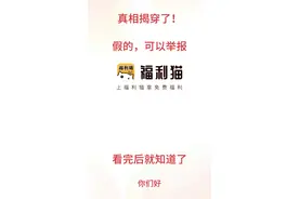福利猫的真相，你们可以举报了