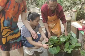我的父老乡亲，用建筑废品修万里长城的胡爷爷，淳朴善良热情视频封面