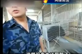实拍“活熊取胆”整个过程只需10秒