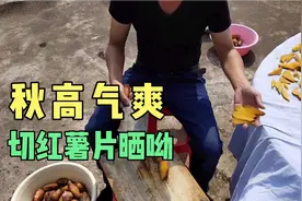煮了一锅红薯晒丝，这个品种含糖量高太软，切起易碎弄一上午视频封面
