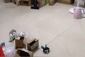 我讲的道理给人听视频封面