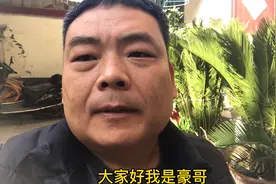 捡到一只比赛掉队的信鸽，不知道该怎么办？该怎么去联系它的主人视频封面