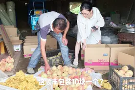箱子一个10块，快递费比桃子还贵，桃农辛苦一年竟为顺丰打工