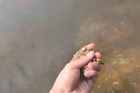 农村的沙子哪来的，揭秘沙子的源头视频封面