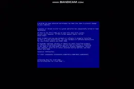 推荐一个秒蓝屏的代码，蓝屏大师已上线视频封面