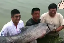 钓鱼大师李大毛钓到全中国最大的青鱼 直接破纪录 上鱼全过程分享