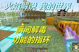 火焰解说 我的世界 火焰模组生存 5610 瞬间解毒功能的指环