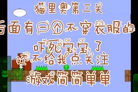 猫里奥第三关