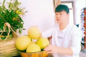 桂花和香橼没人要掉满地，香橼的好处疏肝理气，切片做茶喝一年。视频封面