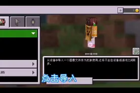 我的世界基岩版1.16如何导入皮肤