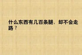 什么东西有几百条腿，却不会走路？