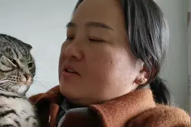 有一种爱含在嘴里怕化，炉边烤火怕晕，灰灰猫与主人上辈子是情侣