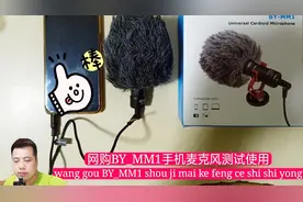 在咸鱼花了118元买的博雅手机麦克风测试使用效果不错