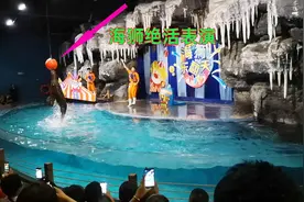 醉影Vlog：郑州海洋馆一日游，海狮表演绝活让人佩服