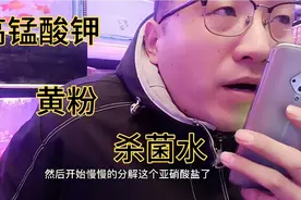 观赏鱼药浴究竟用什么呢？ 哪个会更好一点？我推荐高猛视频封面