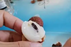 冰鲜的荔枝和冰冻的荔枝，哪个更好吃？