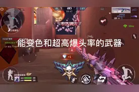 CFM夜月：变色龙的评测视频，可能不够详细，但制作不易，求关注