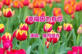 星月组合一首《幸福因为有你》视频封面