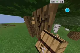 我的世界自己看不到物品栏挑战生存！