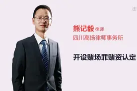 开设赌场罪赌资认定视频封面