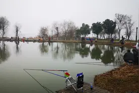 武汉东湖垂钓收费50元，钓到几条大鱼，划算视频封面